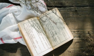 漆思弓的记载 漆思弓的介绍