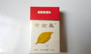 黄金叶产地是哪里 黄金叶产地介绍