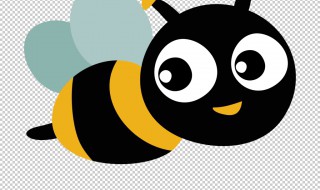 昆虫特征 昆虫有什么特征呢