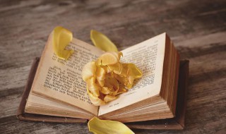 诉诸的意思 诉诸的解释