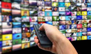 百灵潭剧情介绍 关于网剧百灵潭剧情简介