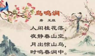 鸟鸣涧的诗意是什么 鸟鸣涧原文介绍