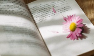 云中谁寄锦书来中的云中是什么意思 云中谁寄锦书来中的云中的意思是什么