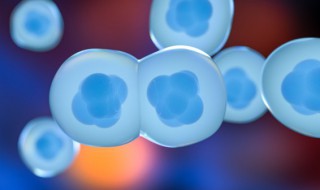 生物酶是什么 生物酶具体是什么