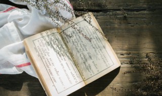 剪不断理还乱是离愁的下一句是什么 剪不断理还乱是离愁是什么意思