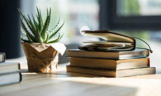 在河之洲前一句是什么 在河之洲的原文及翻译