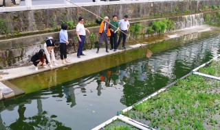 防治水体污染的措施是什么 防治水体污染的措施有哪些