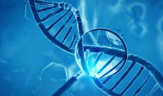 测交实验是什么意思 测交实验具体是什么意思