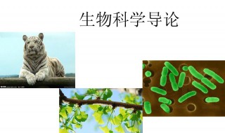 生物中底物的作用到底是什么 生物中底物的作用是什么