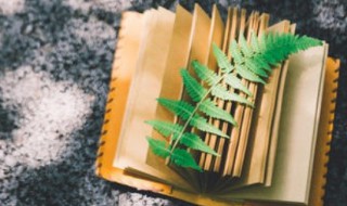 席地而坐的席是什么意思 席地而坐的含义