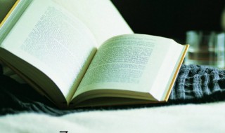 心无所恃是什么意思恃是什么意思 心无所恃的出处