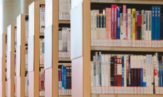 悦己美下一句是什么 悦己美下一句是哪个句子