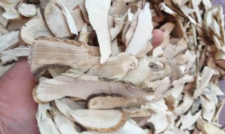 岗梅的功效与作用 岗梅有哪些功效与作用