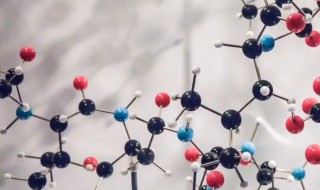 糖被是什么 什么是糖被