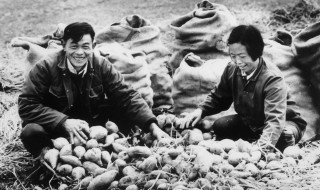 家庭联产承包责任制中的联产是什么意思 家庭联产承包责任制中的联产介绍