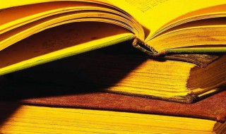 光秃秃是什么意思 光秃秃解释