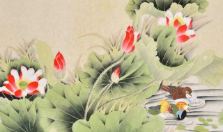 鹣鲽情深是什么意思 鹣鲽情深简单释义