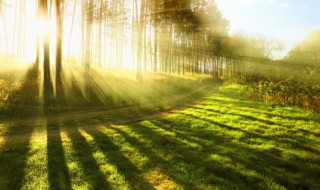 空气成分比例 空气成分比例介绍