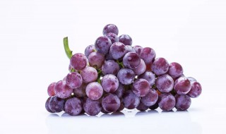 grape是什么意思 grape解释