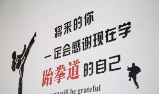 一句经典的跆拳道宣言 经典的跆拳道宣言