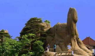 狮子抢球作文 有关狮子抢球作文