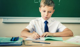 用组织造句 如何用词语组织造句