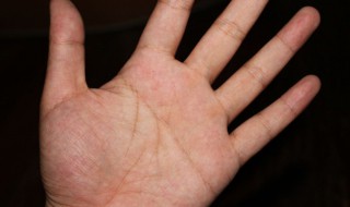 女孩断掌有什么说法 女孩断掌有何说法