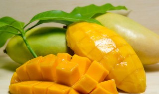 怎样让芒果保鲜 如何保存芒果