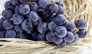 葡萄怎样保鲜不烂 如何保存葡萄