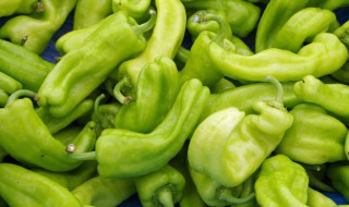 青椒怎样做才能长期保鲜 如何保存青椒