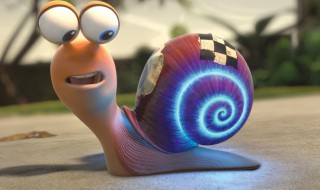 蜗牛一般在什么地方可以找到 蜗牛喜欢在哪里