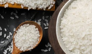 米虫会变成飞蛾吗 米虫会不会变成飞蛾