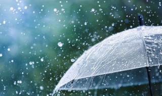 暴雨黄鳝为什么多 什么原因暴雨黄鳝比较多