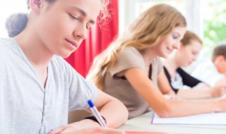 意大利蟋蟀主要内容 意大利蟋蟀大概内容