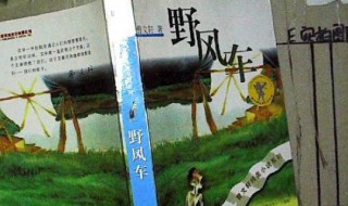 野风车的主要内容 野风车的主要内容及作者简介