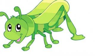 昆虫记意大利蟋蟀特点 昆虫记意大利蟋蟀特征有哪些