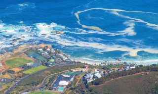 南非国家有哪些国家 南非国家包含的国家