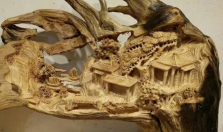 崖柏为什么叫男人之木 称呼崖柏叫男人之木的原因