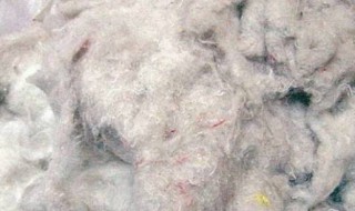 黑心棉怎么鉴别 鉴别黑心棉的方法