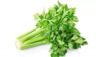 7月份当季的蔬菜 7月份当季的蔬菜介绍