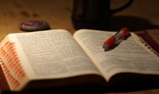 中秋节作文400字 中秋节作文400字怎么写