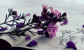 人无横财不富马无夜草不肥的意思是什么 人无横财不富马无夜草不肥的解释