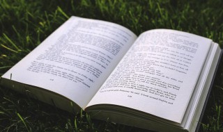 probably是什么意思啊 probably解释