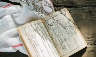 龃龉怎么读音 龃龉含义