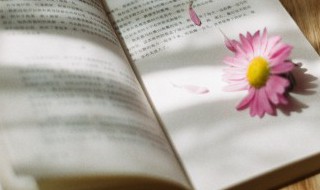 亦字组词 亦字可以组哪些词