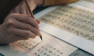 菟怎么读 菟如何读