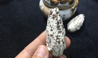 什么颜色千眼菩提子最好 千眼菩提子什么颜色好