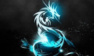 五彩缤纷打一生肖是什么 五彩缤纷谜底