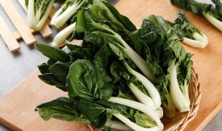 春天小白菜怎样保鲜 如何保存小白菜