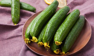 不放冰箱黄瓜怎样保鲜 如何保存黄瓜